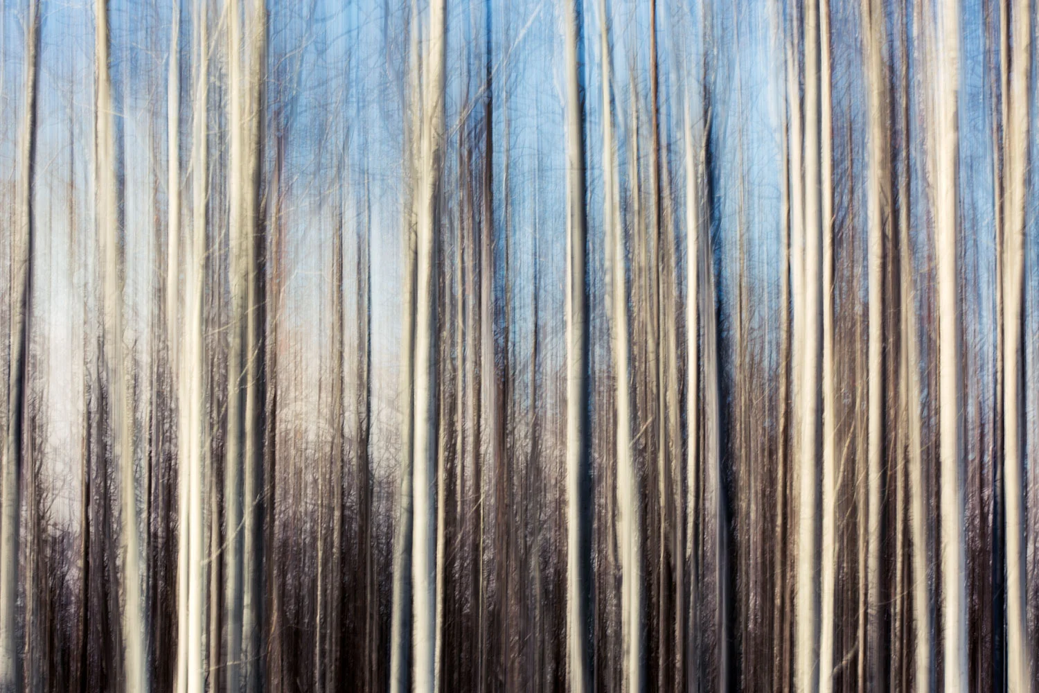 Labyrinthine