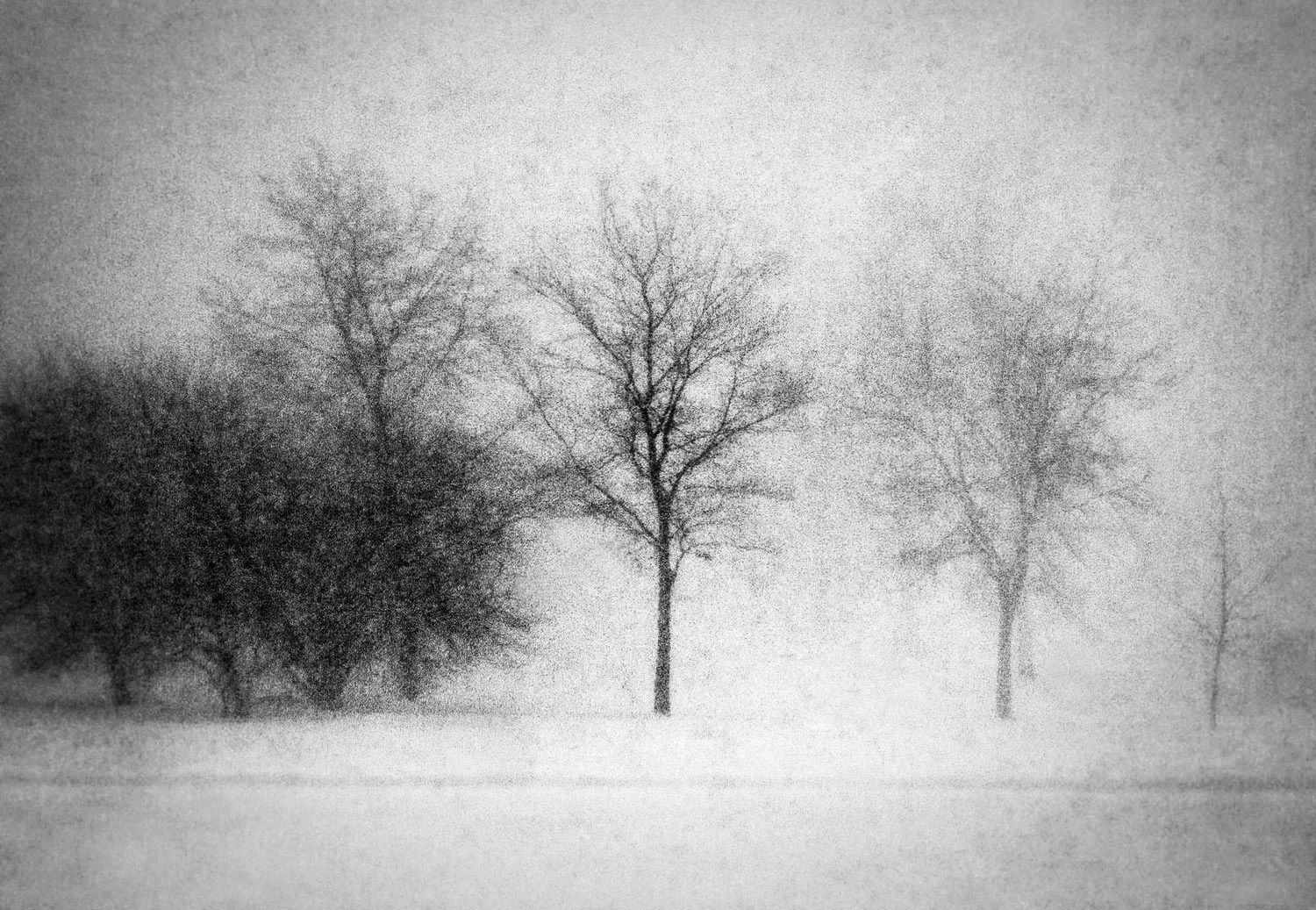 Snow Storm