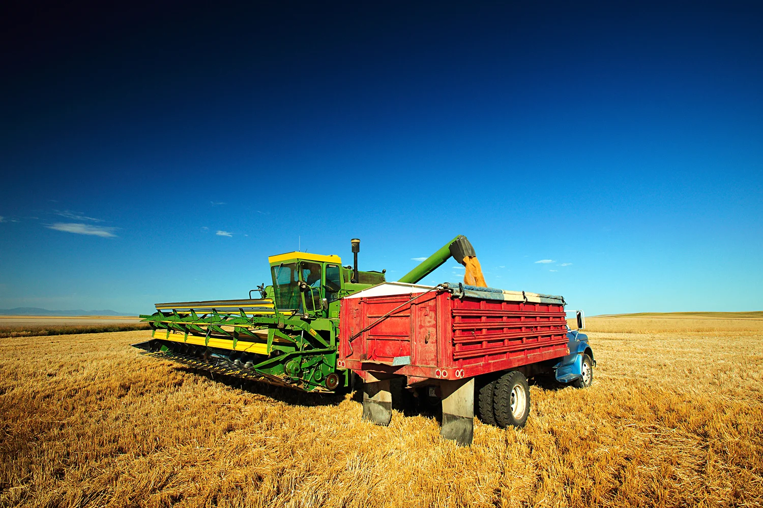 Load of Wheat