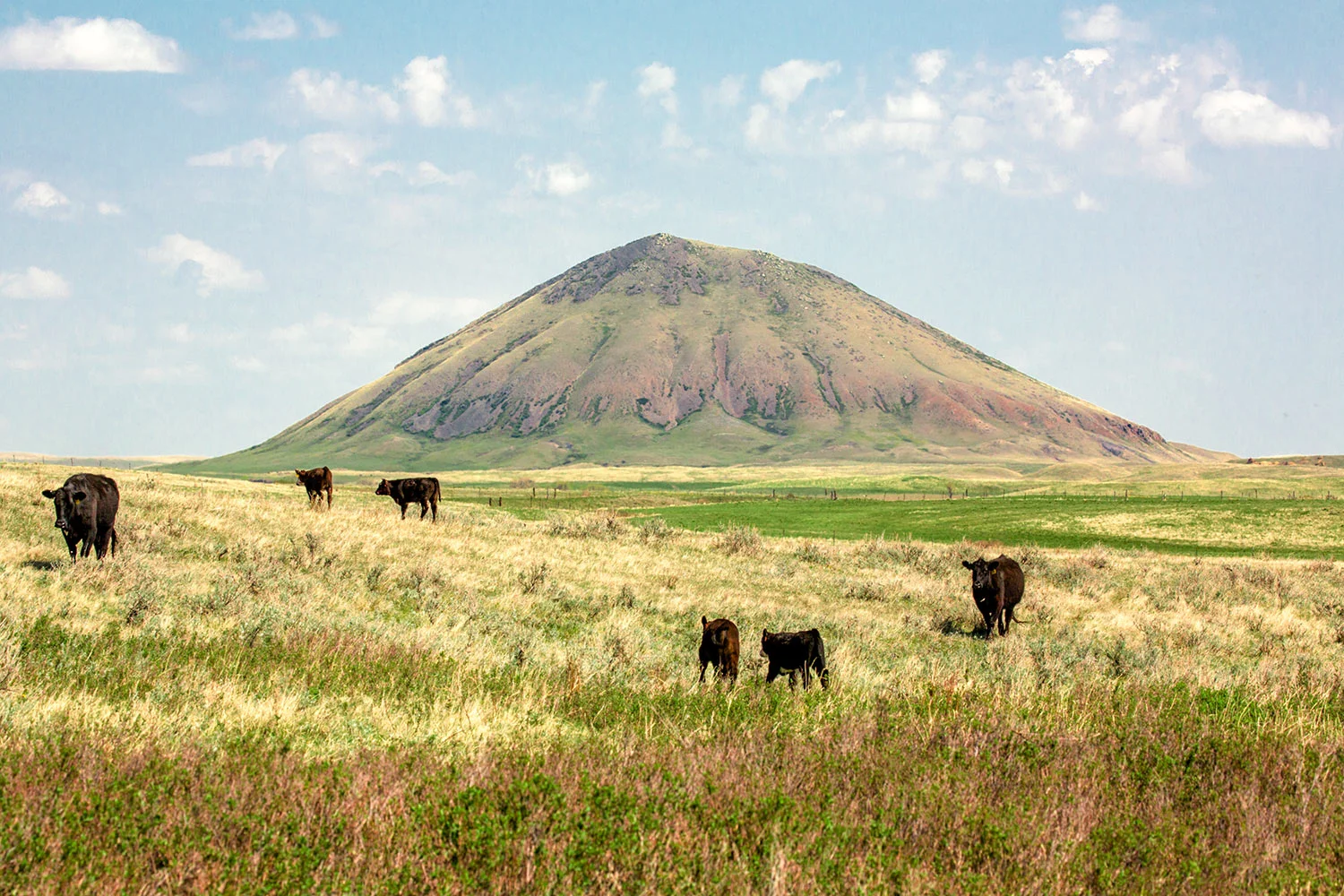 McCann Butte