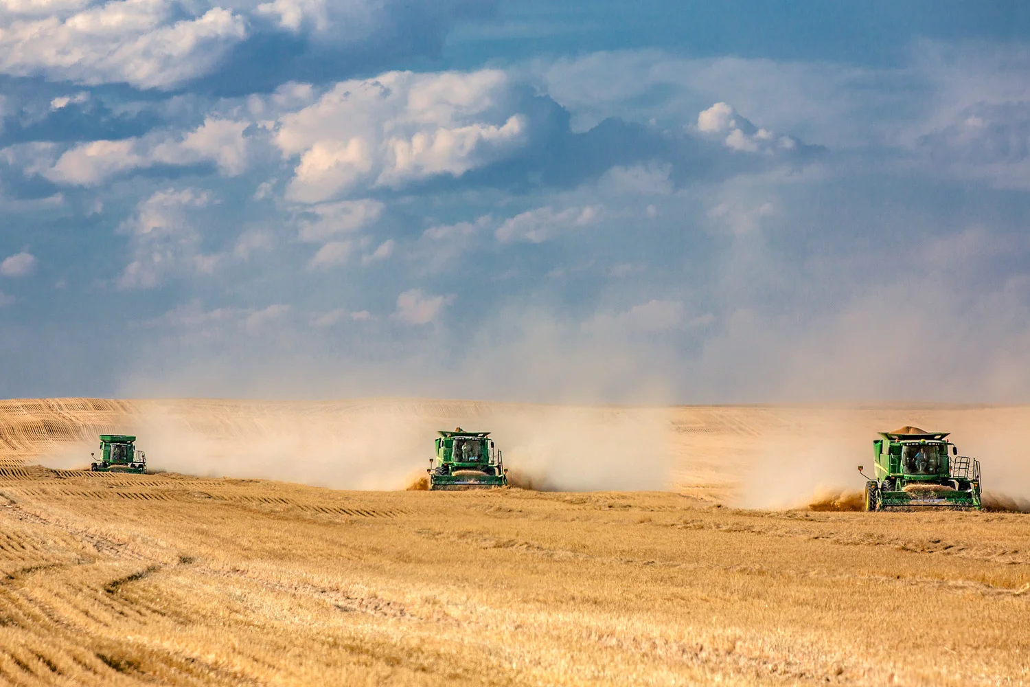 Three John Deere Combines