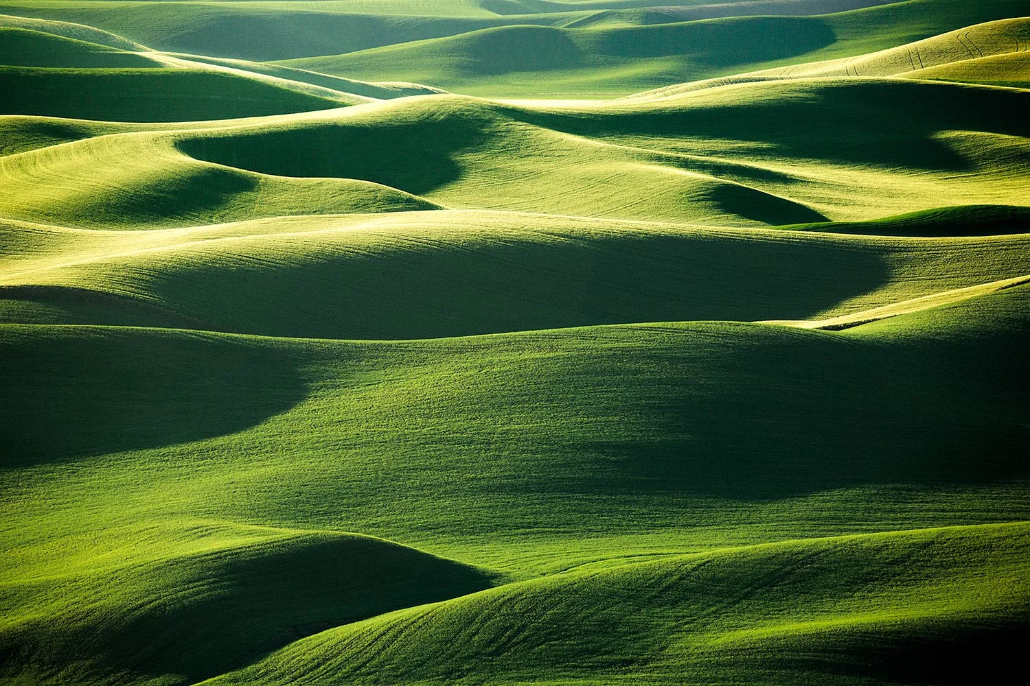 Layers of Green