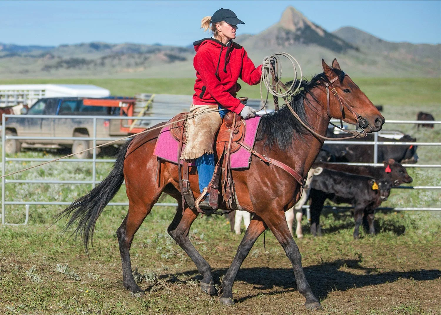 Real Cowgirl Ropes