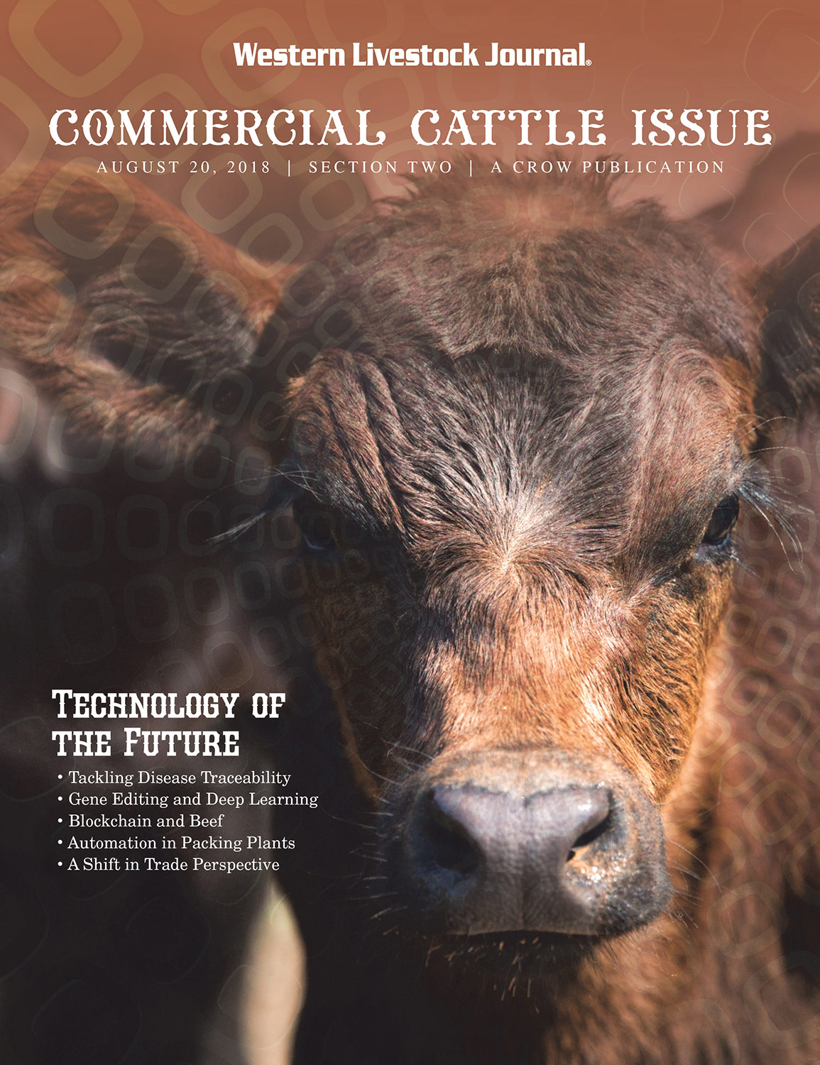 Published Cattle Stock Images on Cover of Western Livestock Journal