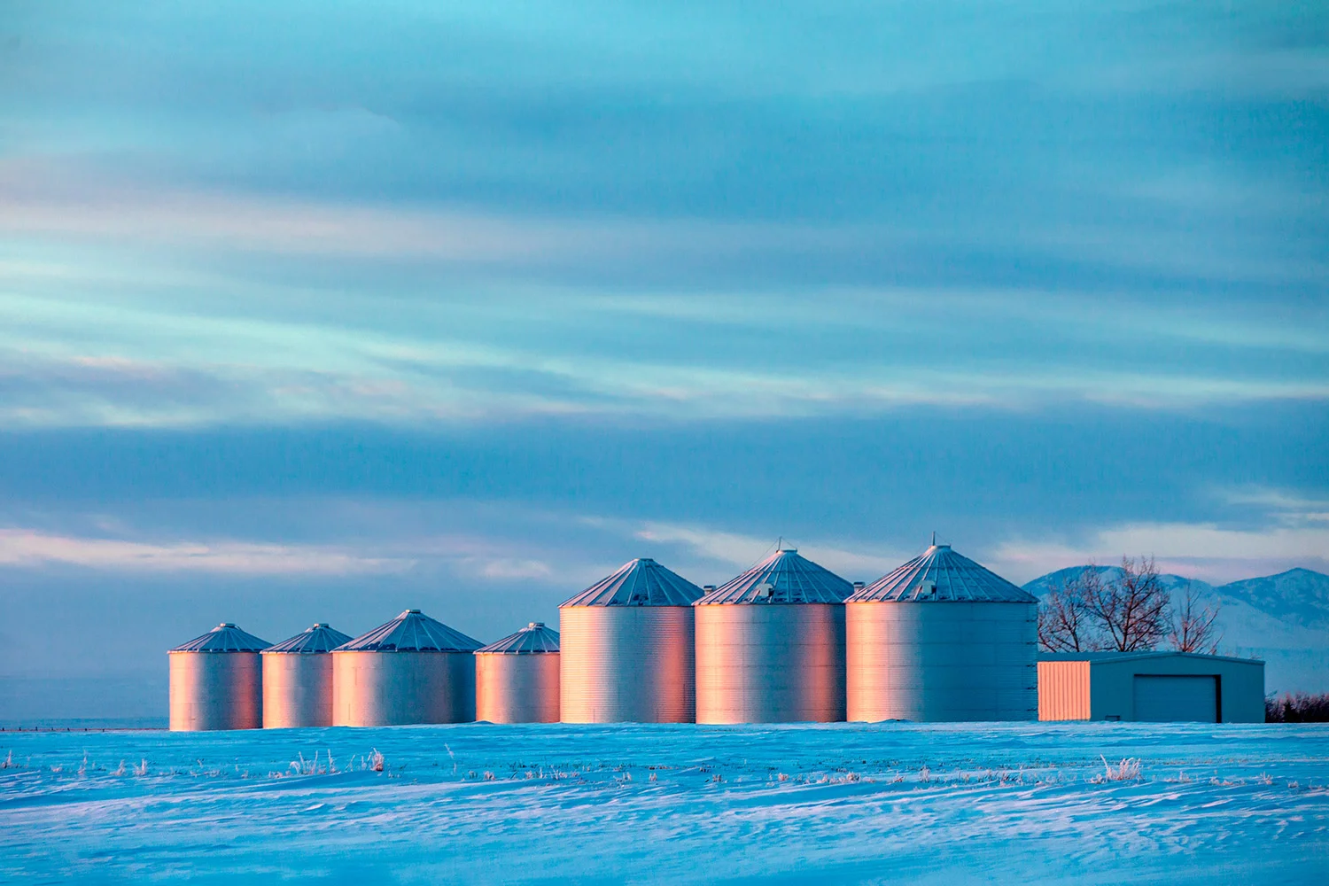 Cold Colorful Bins