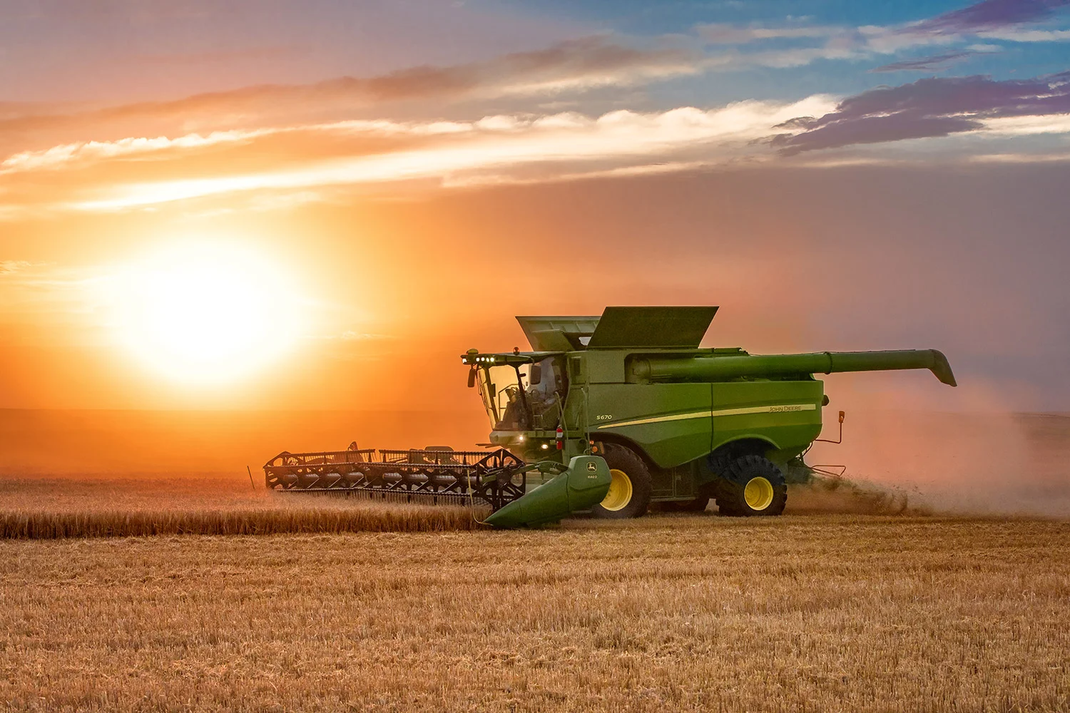 Bright Harvest