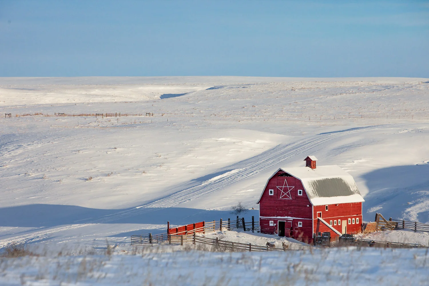 Star Barn