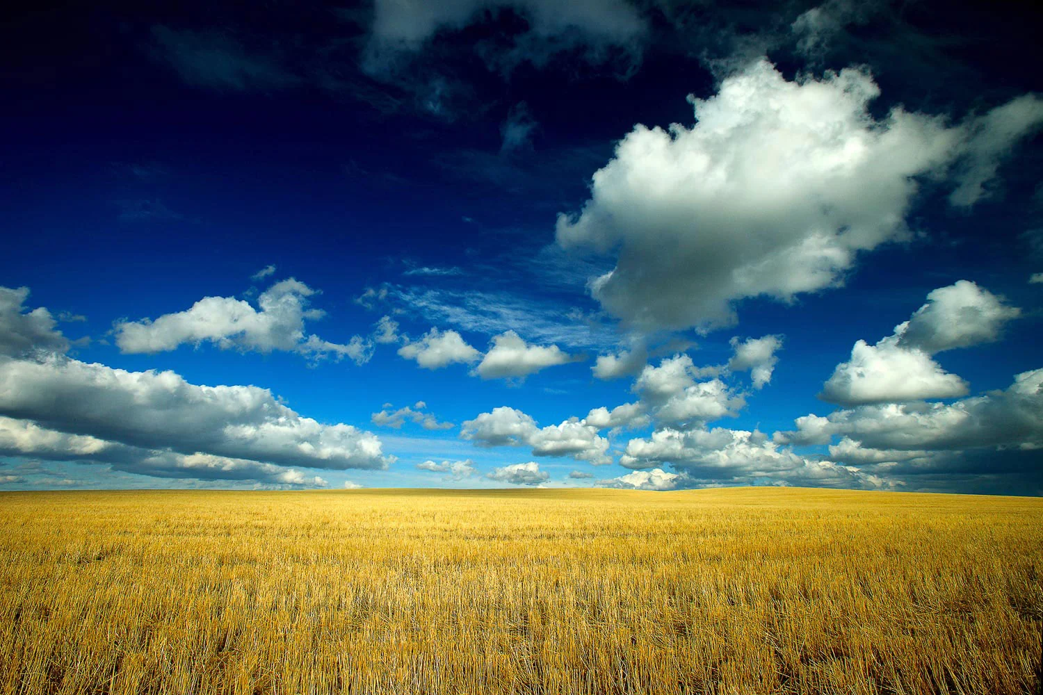 Big Fluffy Clouds
