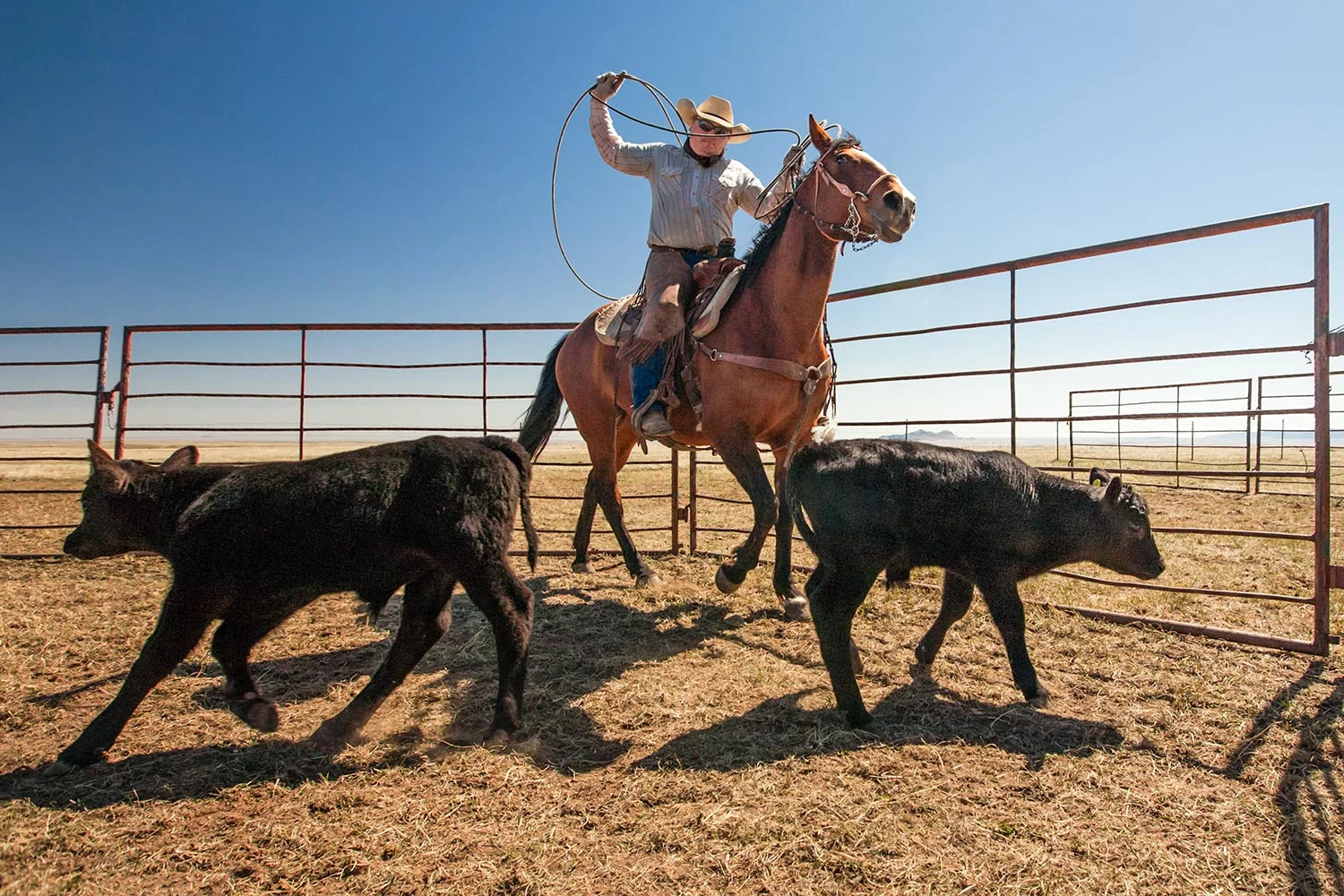 Corral Action