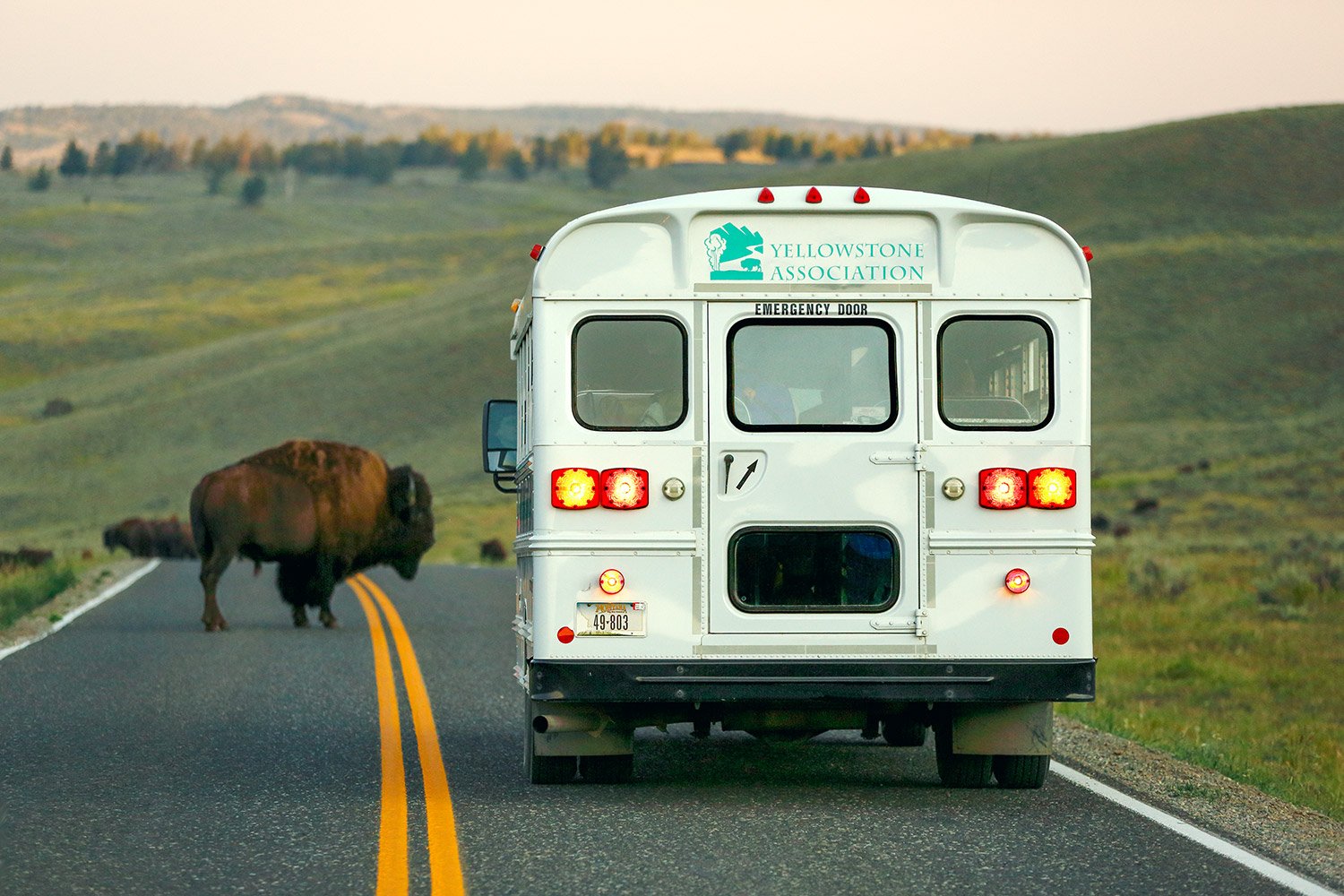 Yellowstone Association Bus