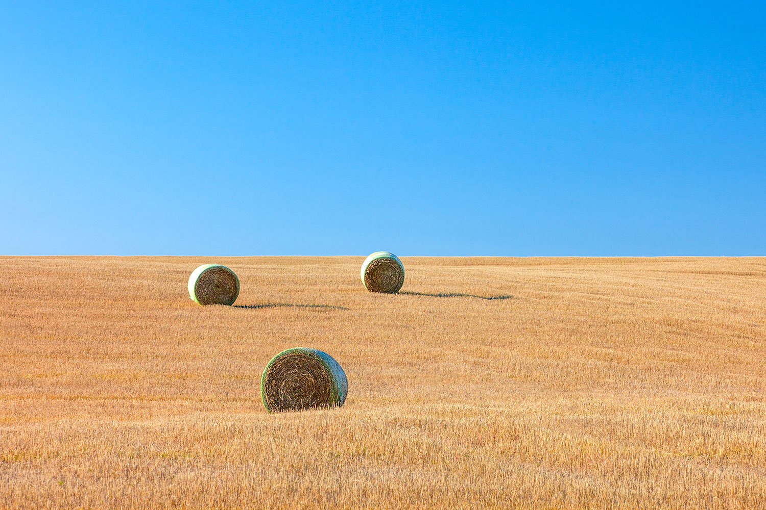 3 Bales and a Void