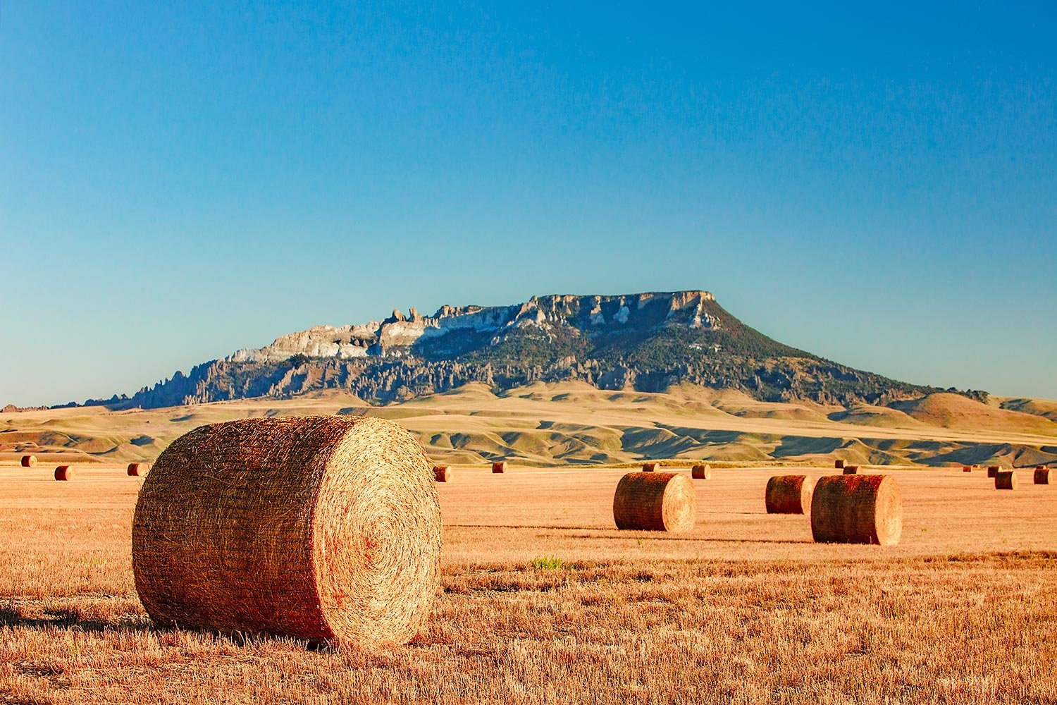 Round Bales Square Butte