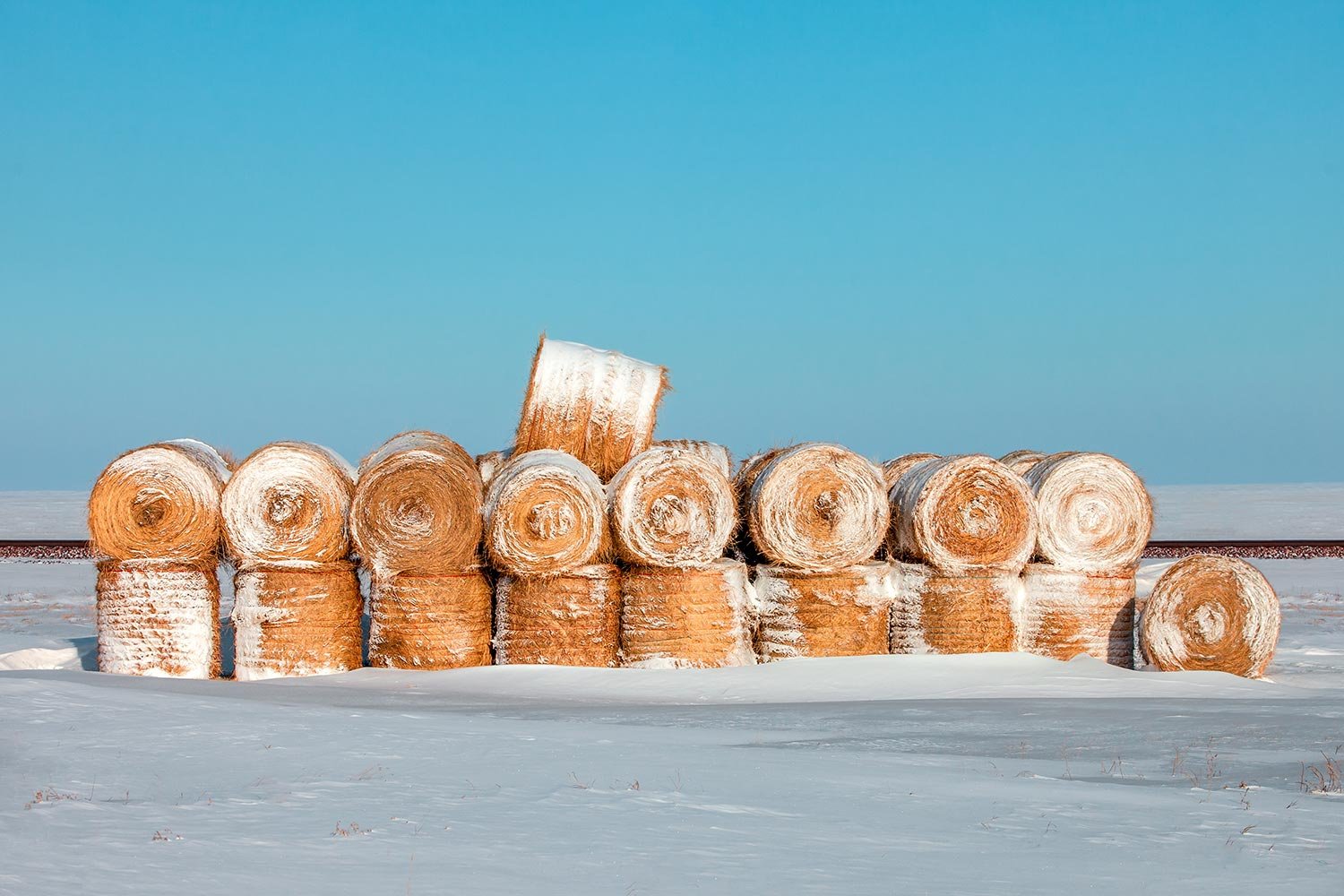 Frosted Wheats