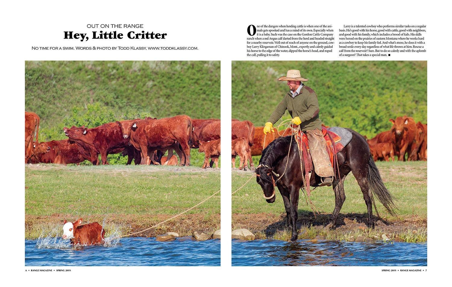 My photo of a cowboy roping a calf that wandered into a reservoir appeared in the spring 2019 issue of Range Magazine, seen here. I wrote the text in the article, too, which you can read below.