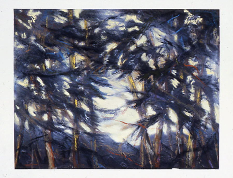 Forest's Edge