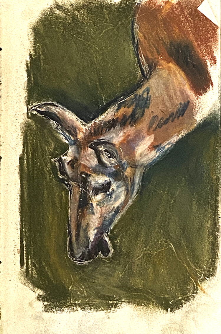 Pronghorn after the hunt small file.jpg