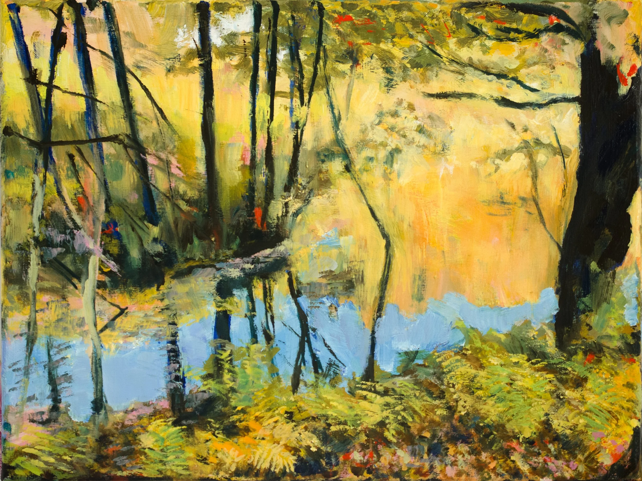 Our Marsh, version 2