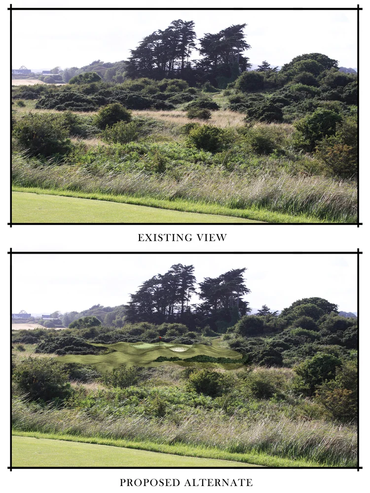_before after sample1.jpg