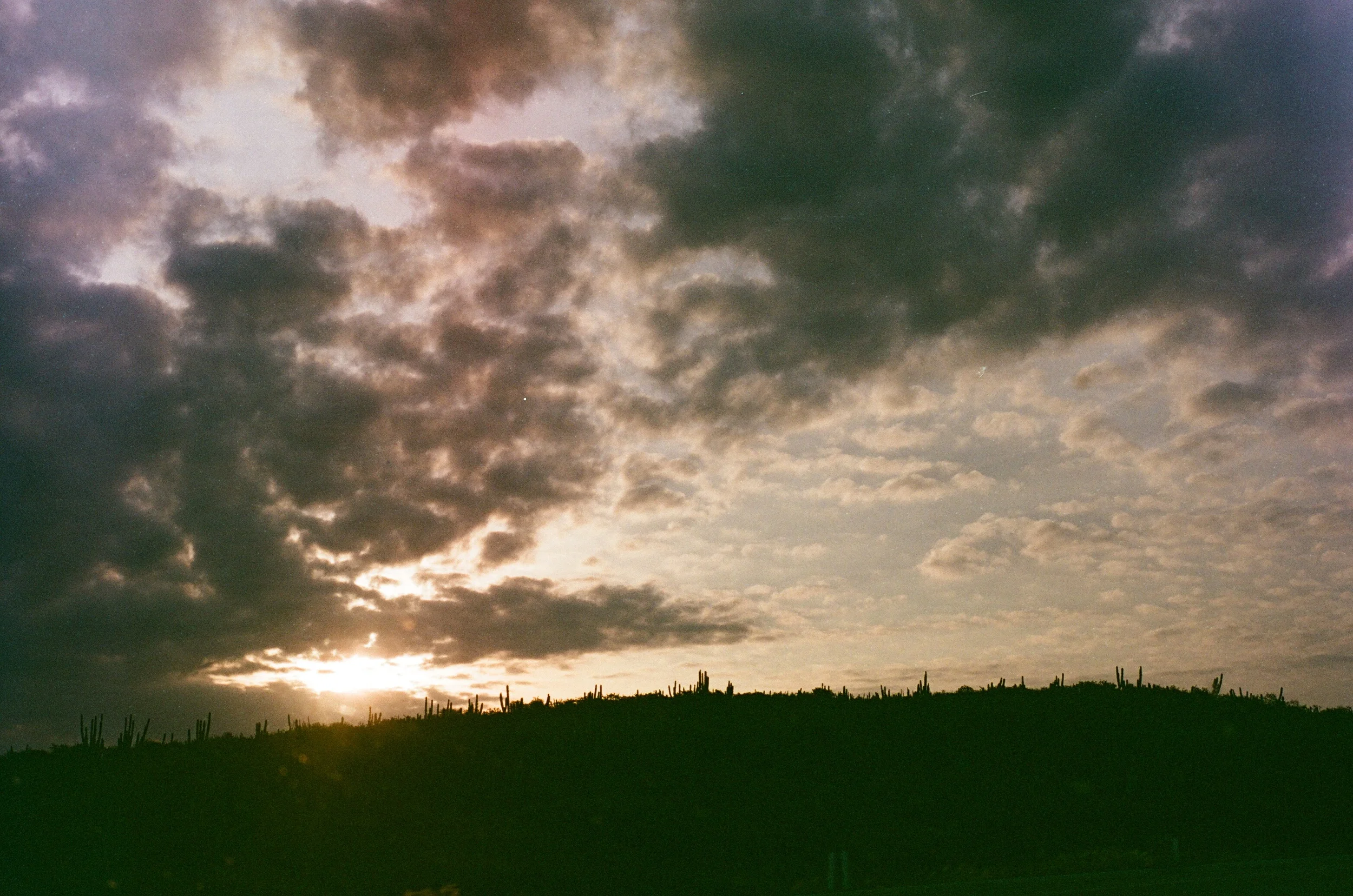 0004_21A.jpg