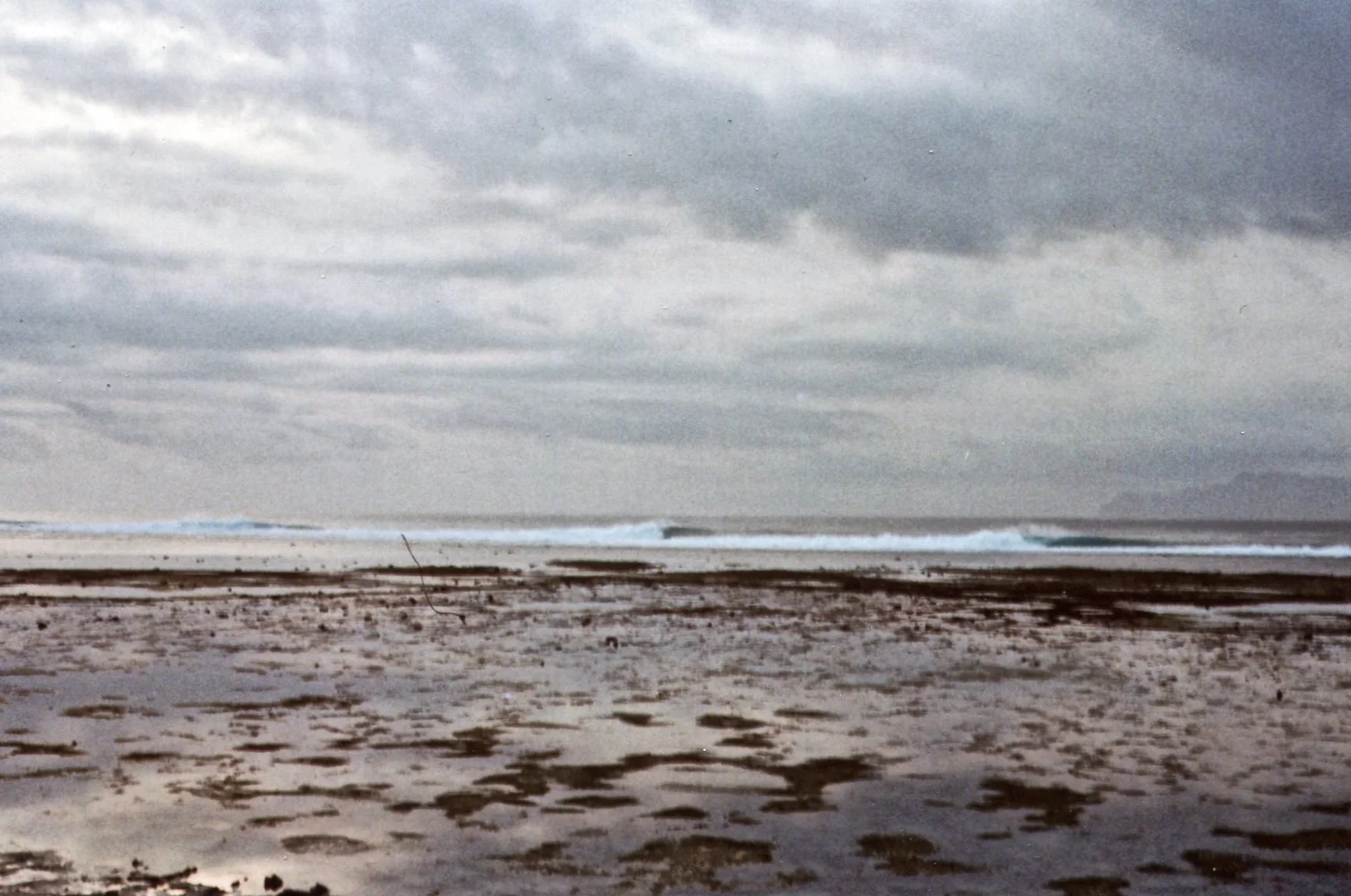 img007.jpg