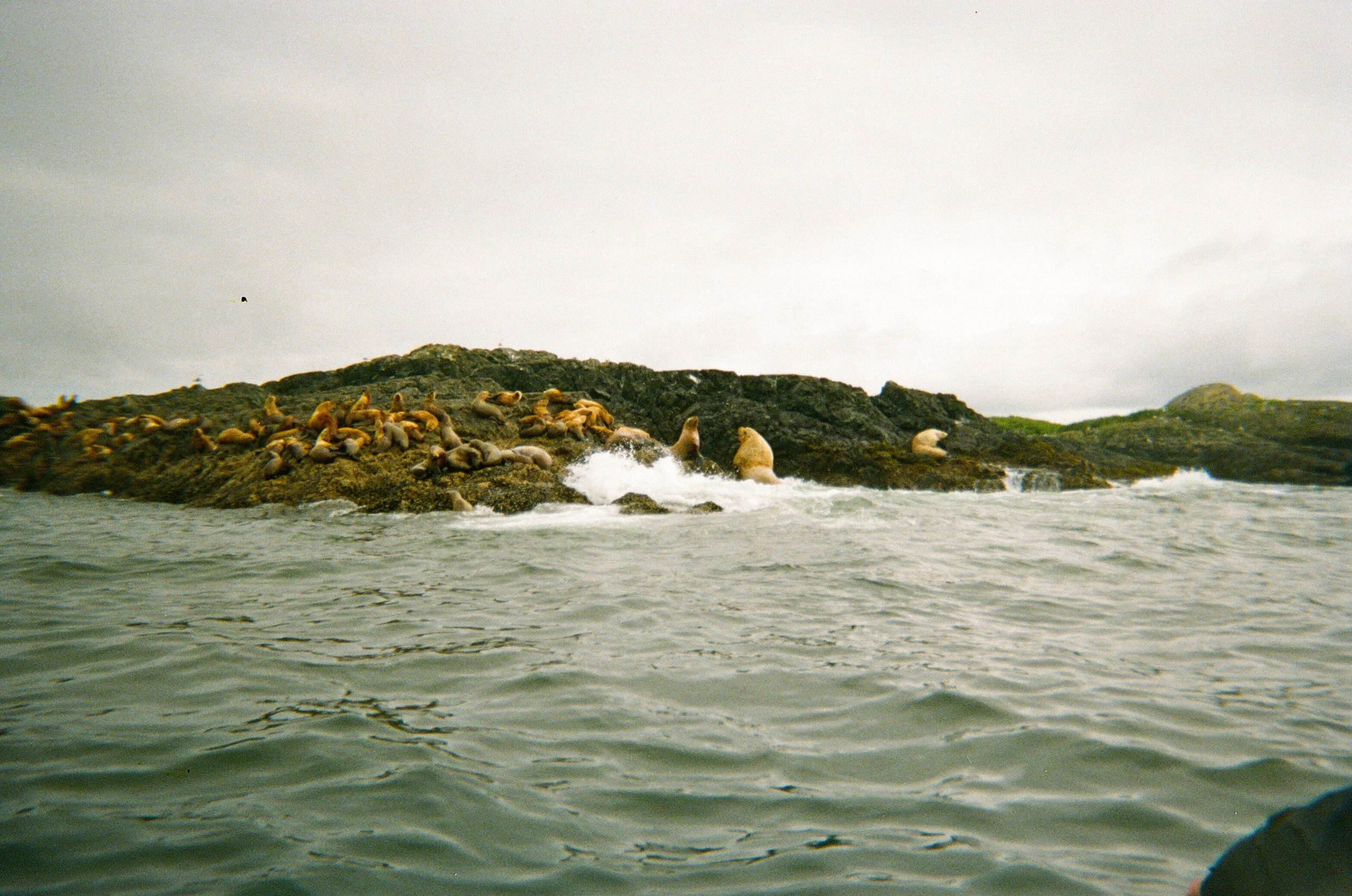 0023_2.jpg