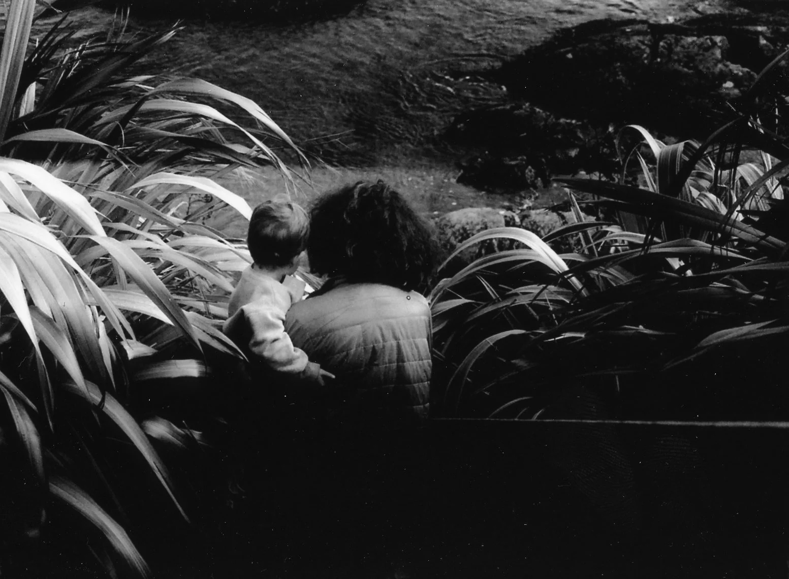 img056.jpg