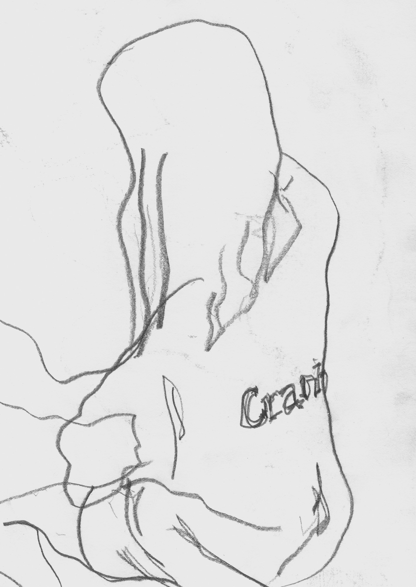 Sketches_Holley.jpg