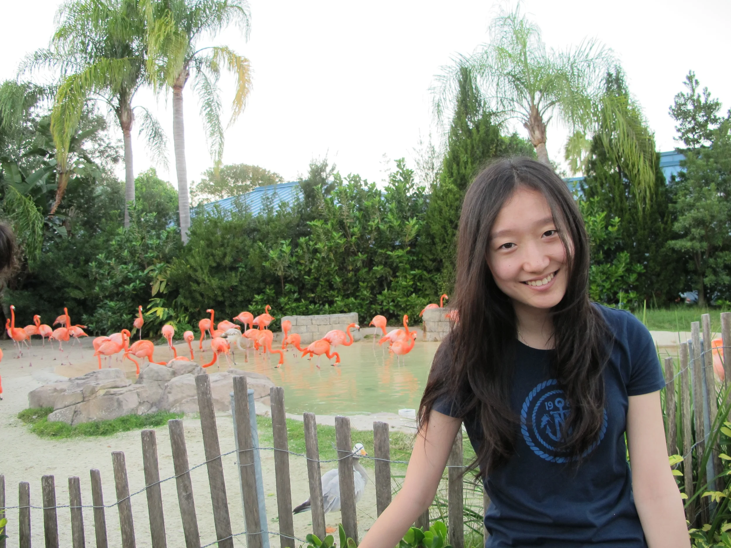 Xu Han
