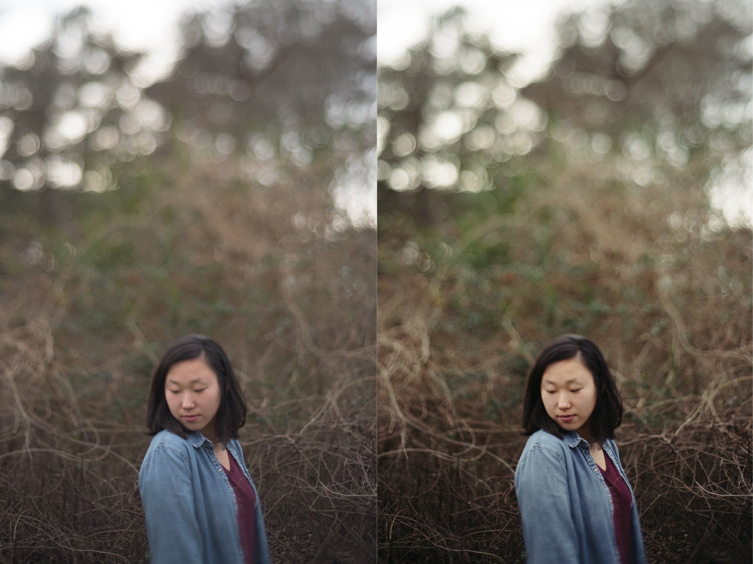 Fuji Sensia 100
