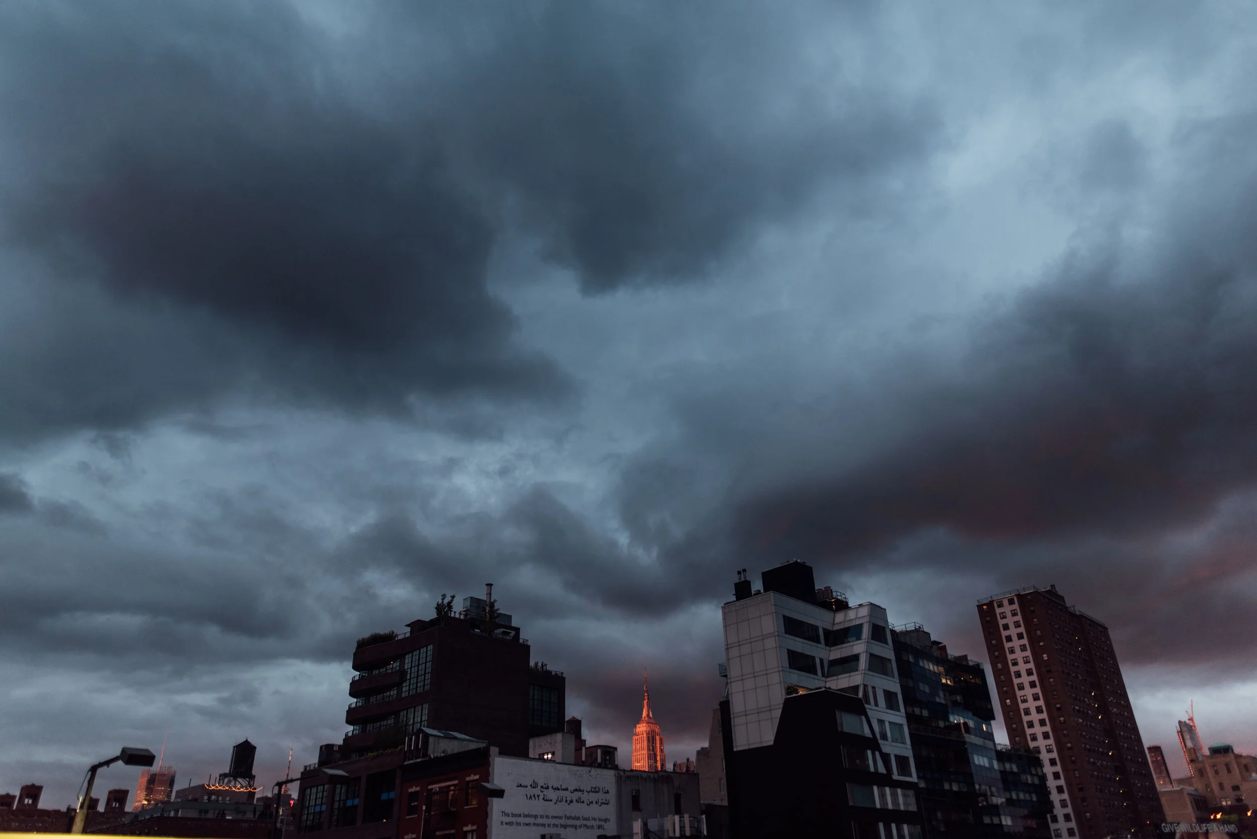 maryclairephoto_nyc-006.jpg