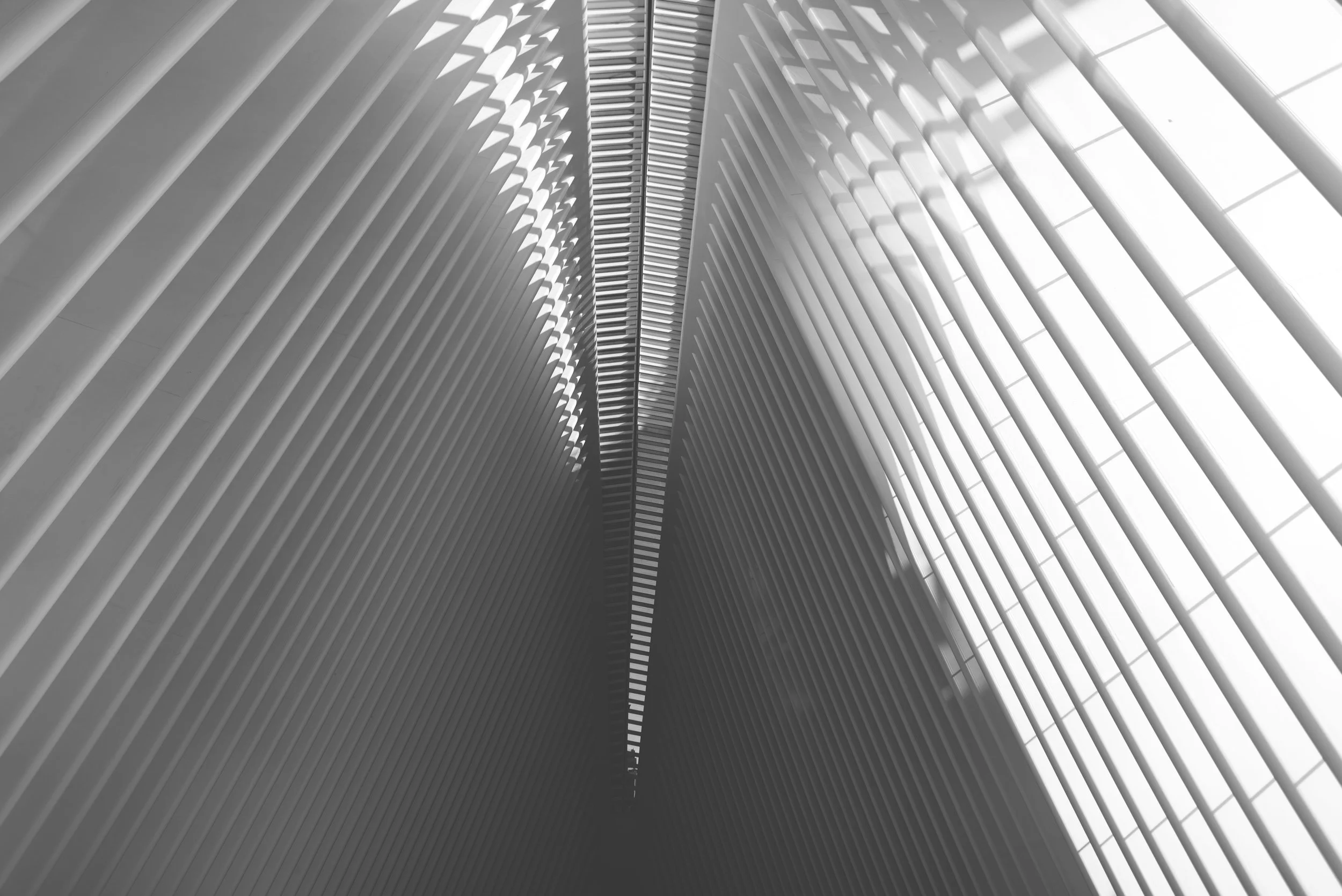 maryclairephoto_nyc-034.jpg