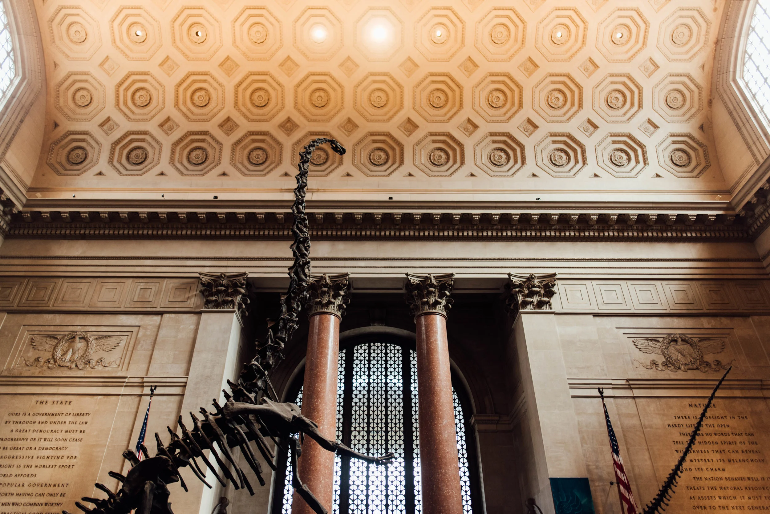 maryclairephoto_nyc-026.jpg