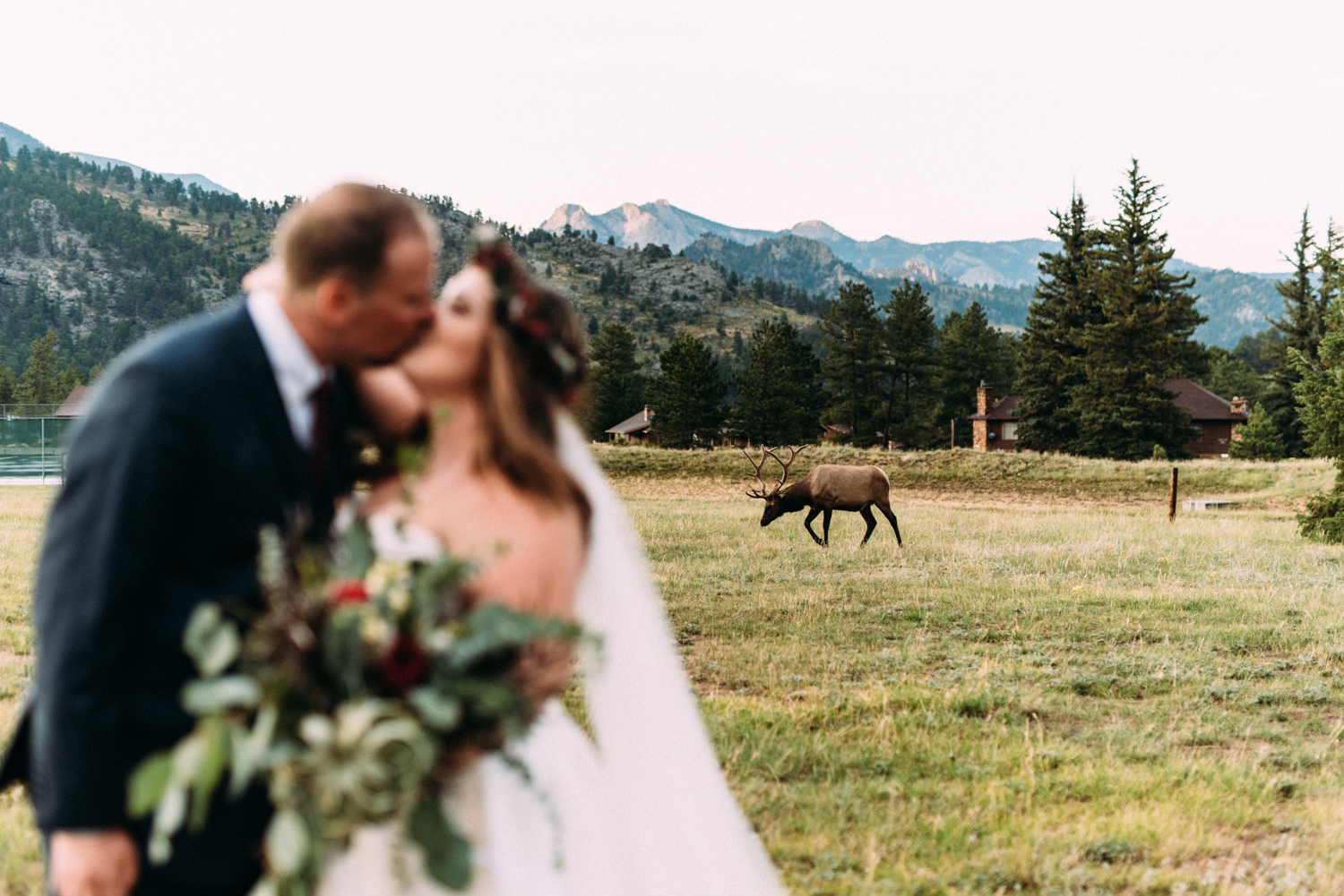 mcllc_chandlerwed-0522.jpg