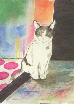 Kitty Loves Colors