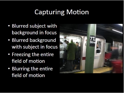 Intro to Street Photography and Intro to Principles of Photography 