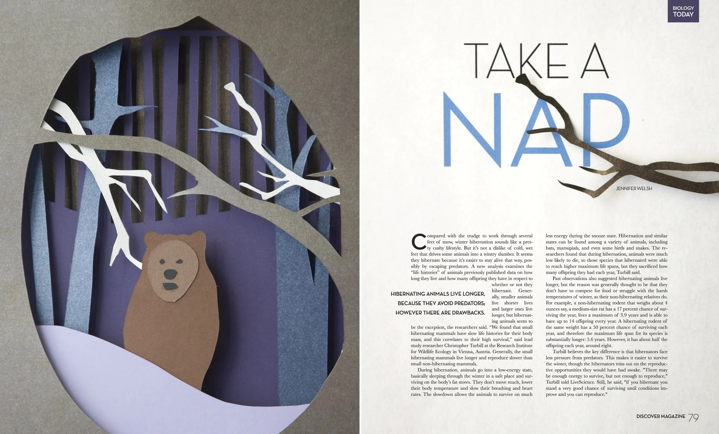 Zane Hatton Nap.jpeg