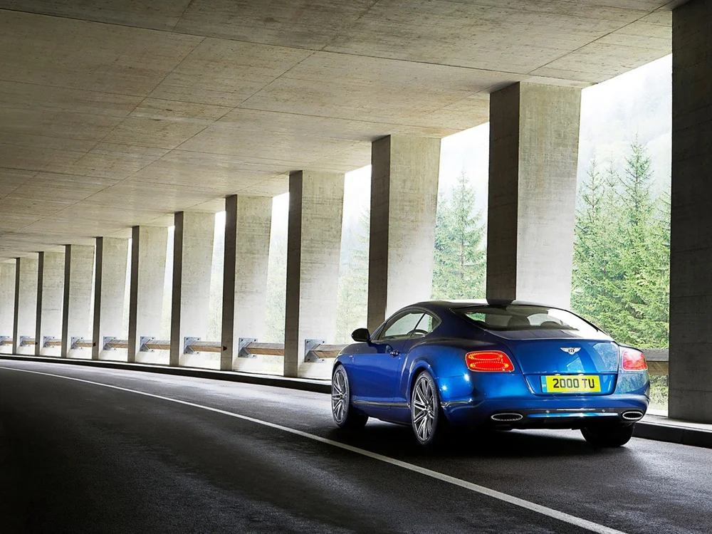 BackDriver-blue-outside.jpg