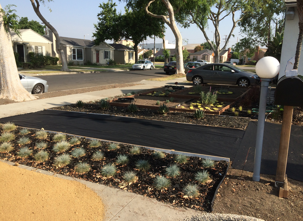 We decided to buy preformed concrete pavers ($14 each) for the walkway. Here we've put down fabric before putting down a bed of gravel and sand.