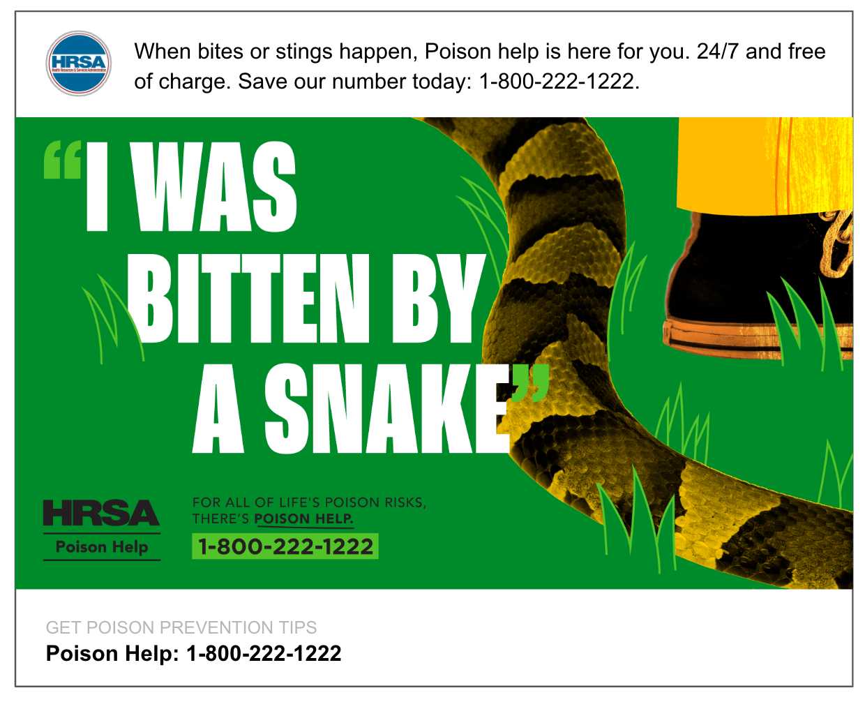 Screen Shot 2023-06-22 at 11.08.42 AM.png