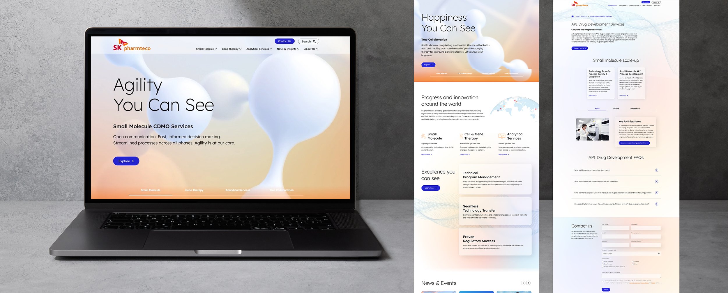 SK_Homepage copy.jpg