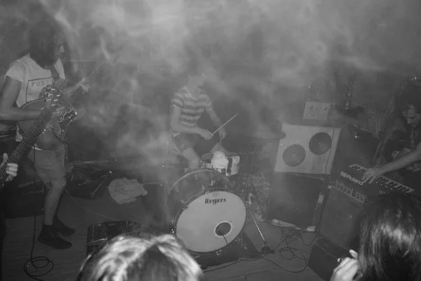 Foals