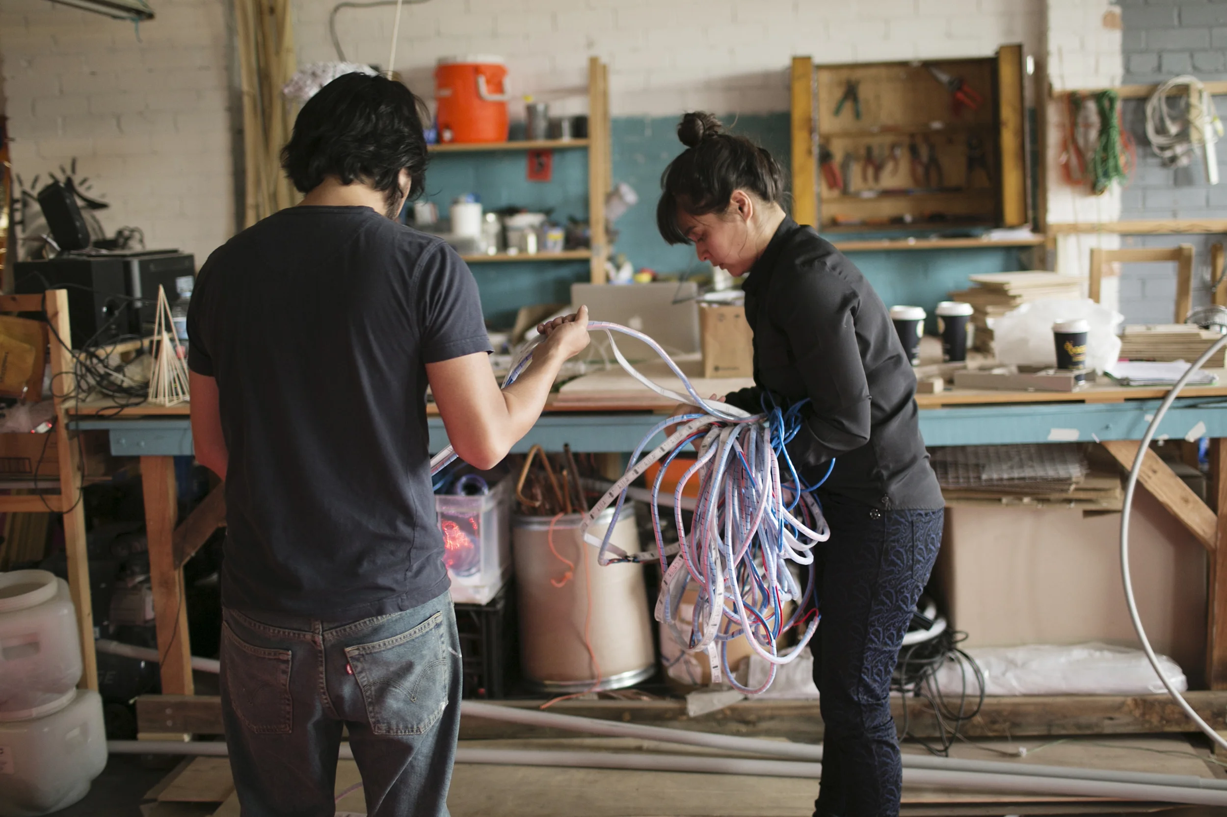 Vivid Progress 2014_011.jpg