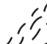bottom_right_05.gif