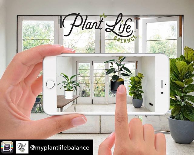Have you seen this wild @myplantlifebalance app? It&rsquo;s brand new and we love it. It lets you easily work out how to green up your space and reap the beautiful rewards.🌵🌳🌿😃 Repost from @myplantlifebalance: &quot;Are you wanting to green up yo