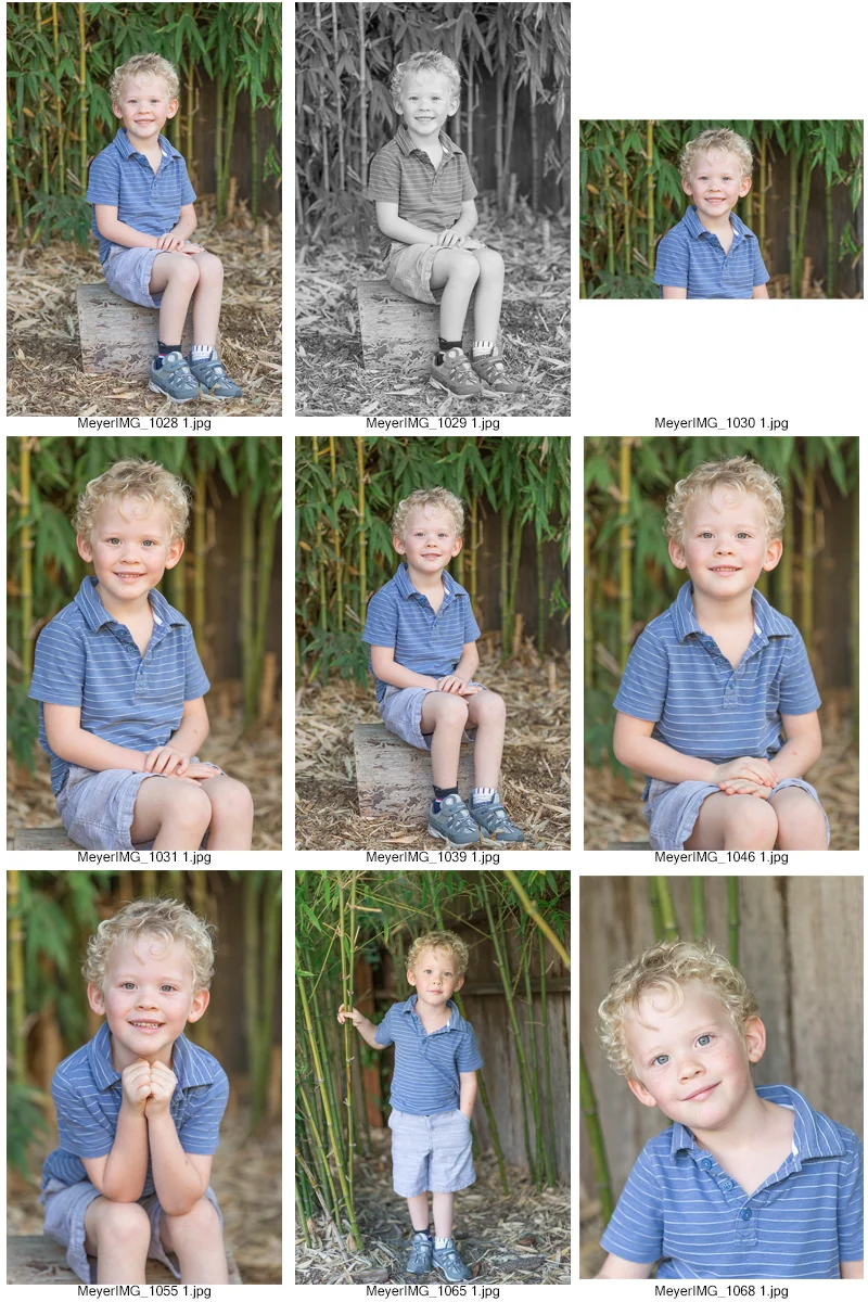 HenryContactSheet-001.jpg