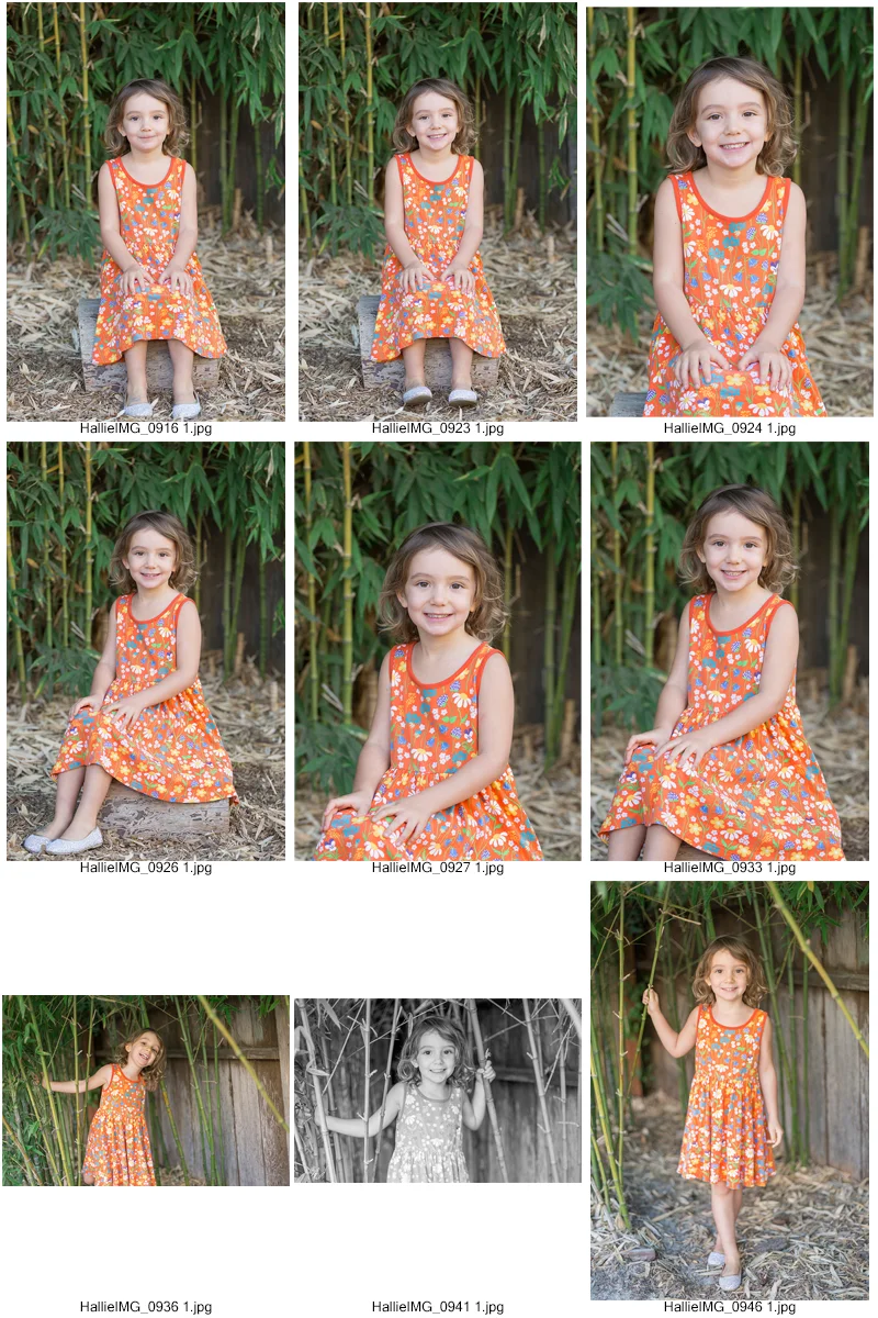HallieContactSheet-001.jpg