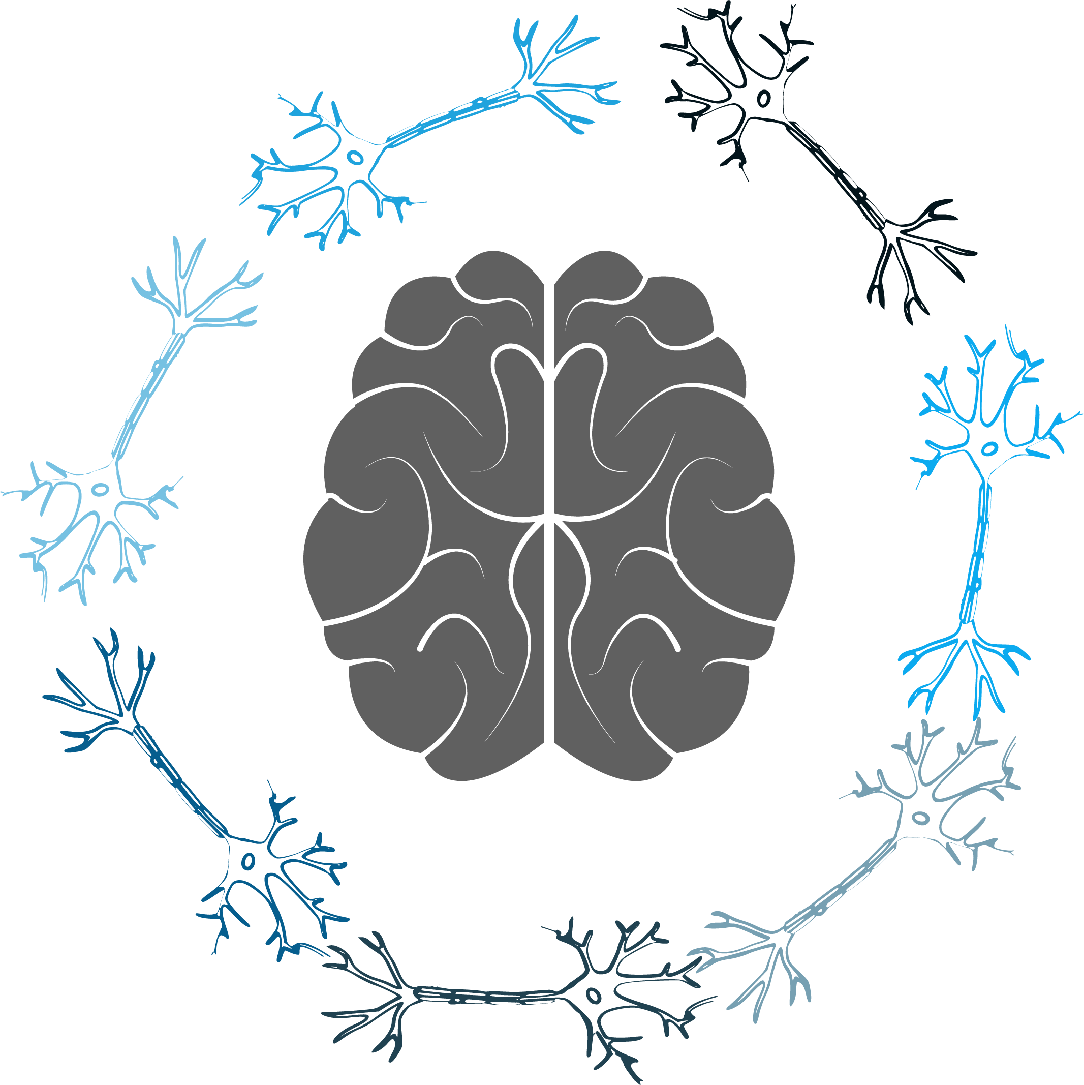 brain_neurons.png