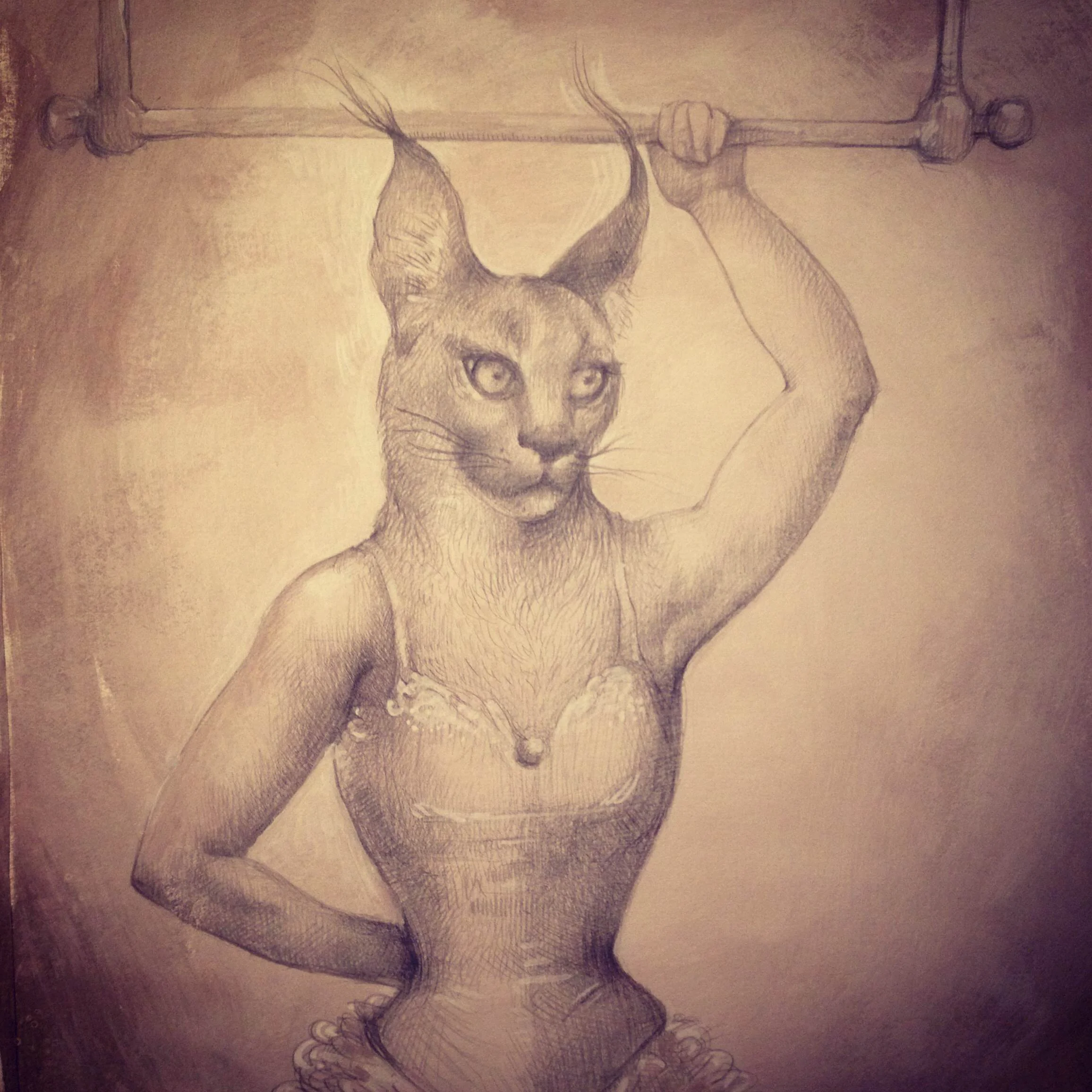 The Corseted Lynx