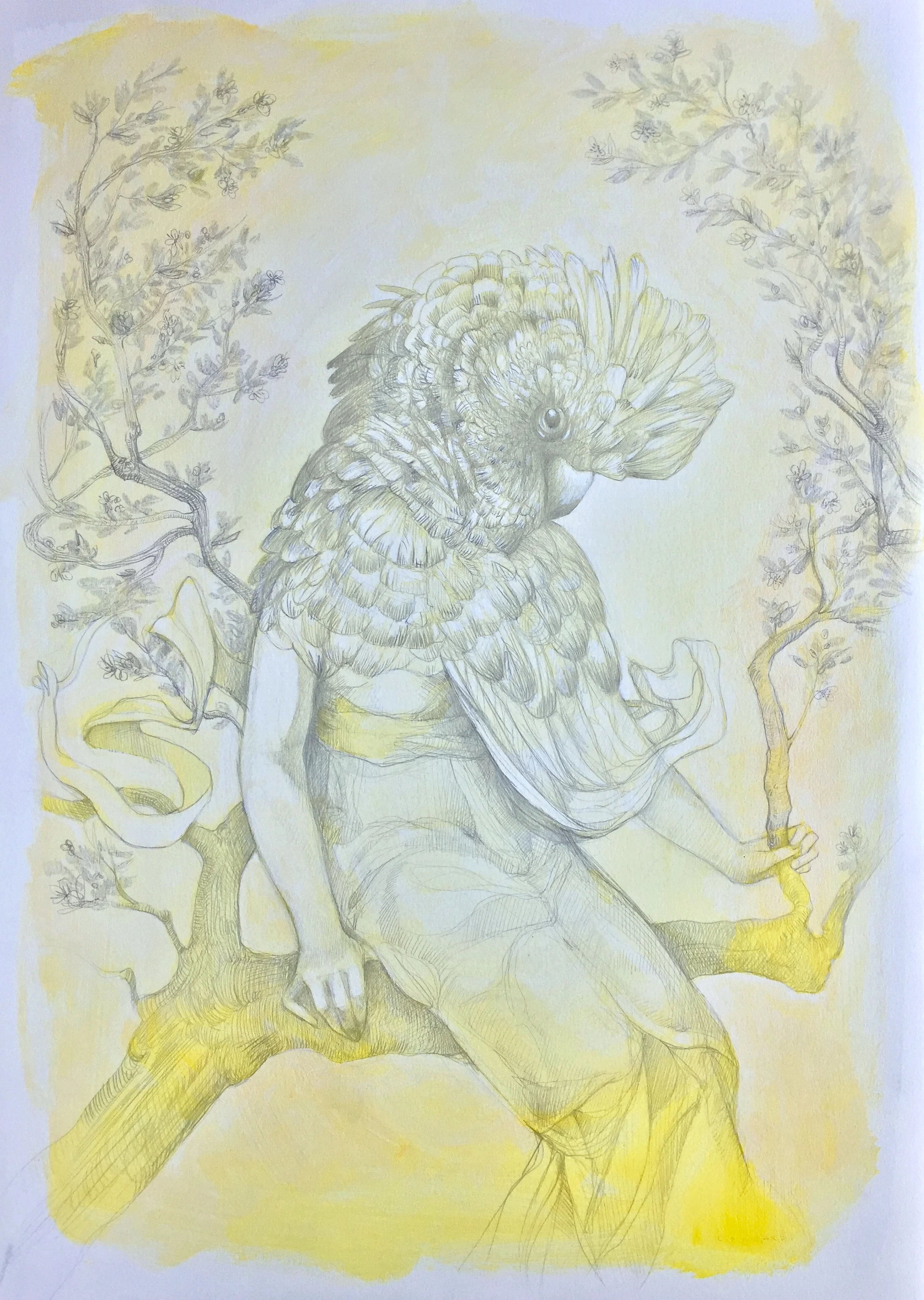 Madame Cockatoo: Primavera