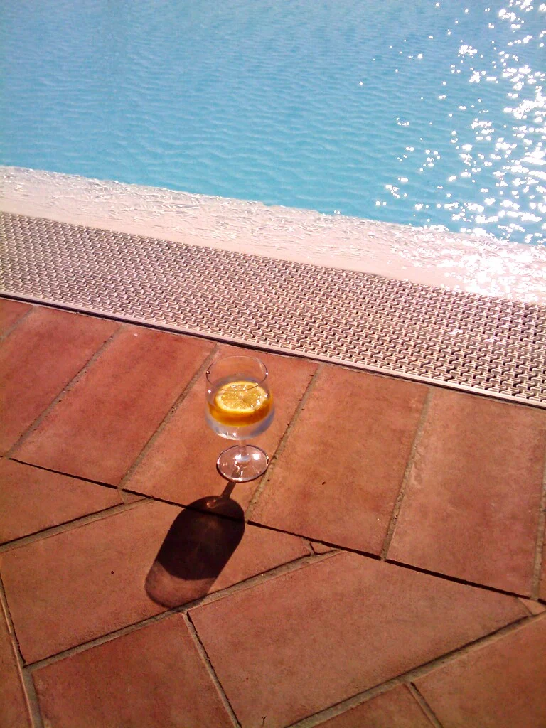 365 Day.016 water+water+lemon.jpg